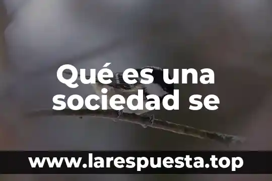 Qué es una sociedad se