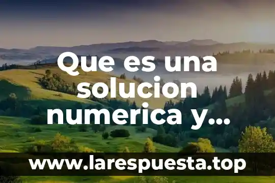 Que es una solucion numerica y grafica