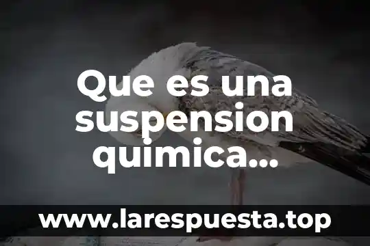 Que es una suspension quimica caracteristicas
