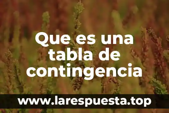Qué es un plan de contingencia en salud 8 Que es una tabla de contingencia