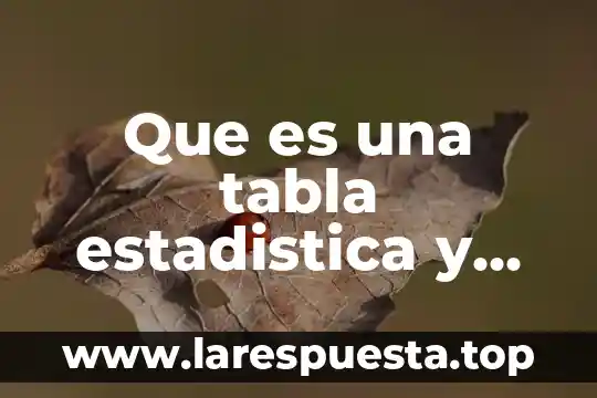 Qué es un imán tipos y partes 8 Que es una tabla estadistica y sus partes