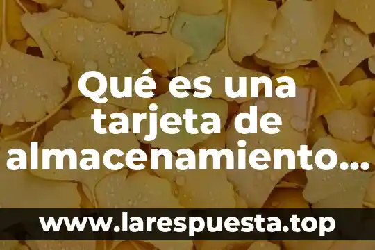 Tarjeta de credito garsntizada que es 7 Qué es una tarjeta de almacenamiento SQA