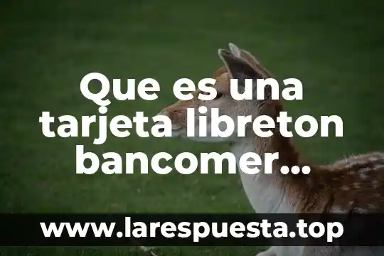 Que es una tarjeta libreton bancomer debito