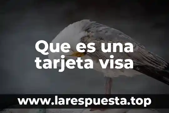 Que es el alias de una tarjeta 4 Que es una tarjeta visa