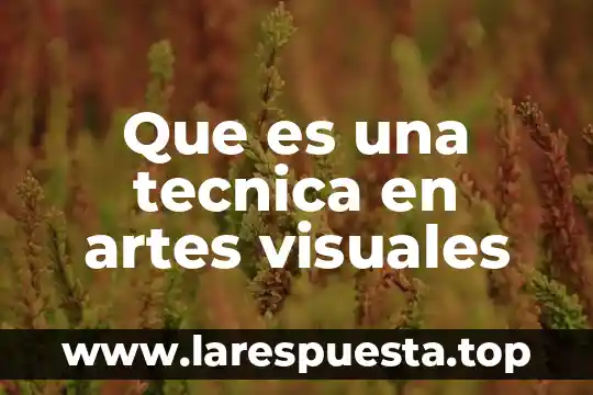 Que es una tecnica en artes visuales