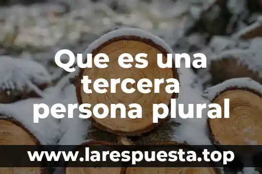 Que es una tercera persona plural
