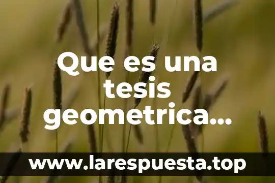 Que es una tesis geometrica ejemplo