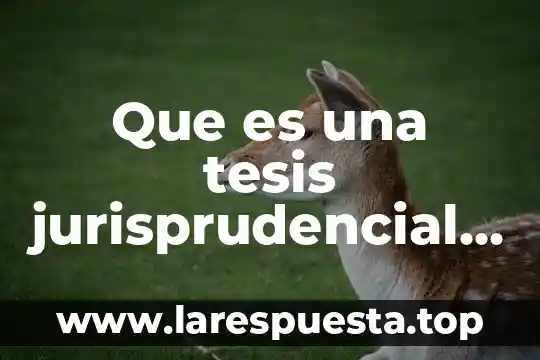 Que es una tesis jurisprudencial de salud