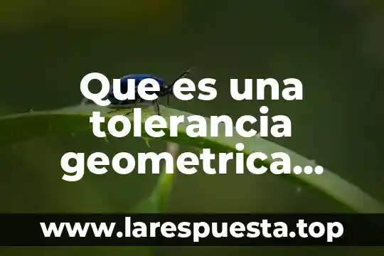Que es una tolerancia geometrica dibujo tecnico