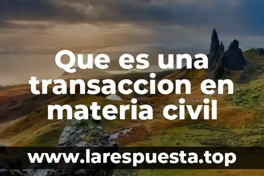 Que es una transaccion en materia civil
