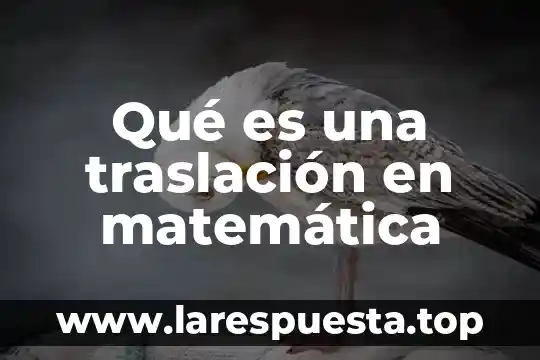 Que es una antologia de matematica definición 3 Qué es una traslación en matemática