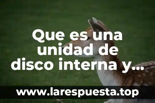 Que es una unidad de salud mental 7 Que es una unidad de disco interna y externa