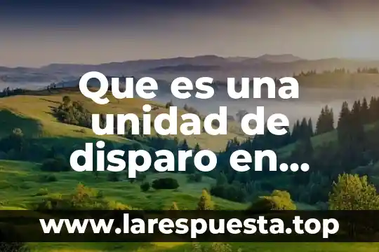 Que es unidad estadistica 3 Que es una unidad de disparo en pozos petroleros