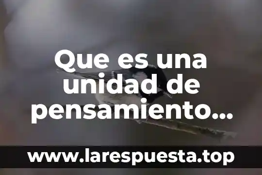 Que es una unidad de pensamiento central