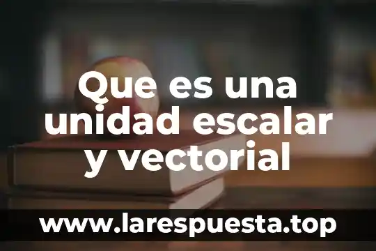 Que es una unidad escalar y vectorial