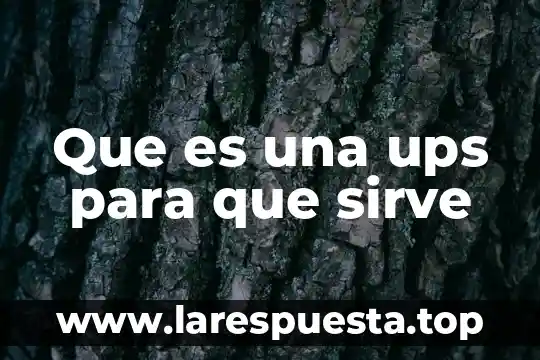 Que es una miuva y para que sirve 7 Que es una ups para que sirve