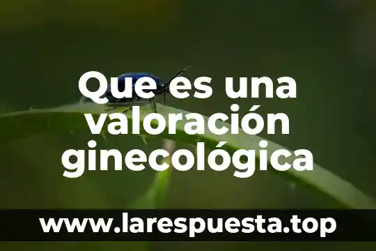 Que es una valoración ginecológica