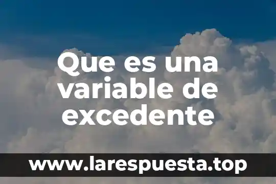Que es el fondo variable 3 Que es una variable de excedente