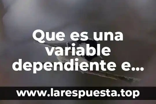 Qué es una variable dependiente y una variable independiente 6 Que es una variable dependiente e independiente en trabajo social