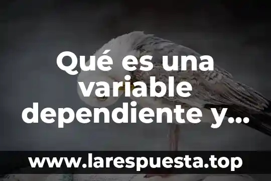 Que es una variable dependiente e independiente en investigacion ejemplos 7 Qué es una variable dependiente y una variable independiente