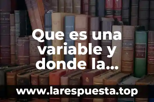 Que es el fondo variable 7 Que es una variable y donde la encontramos