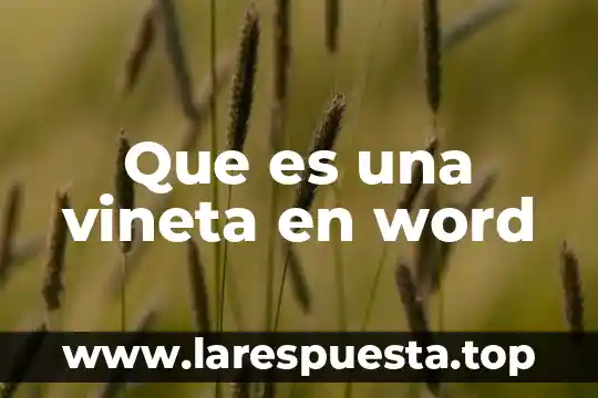 Que es una vineta en word