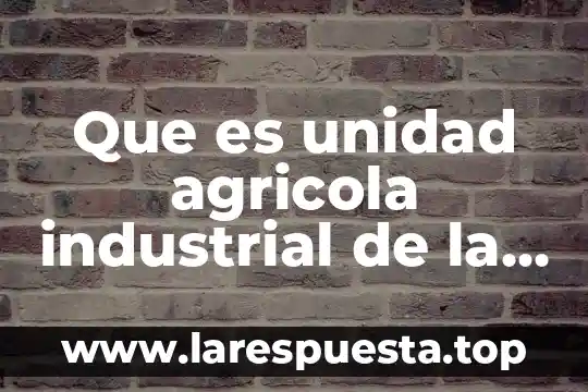 Que es unidad estadistica 5 Que es unidad agricola industrial de la mujer campesina