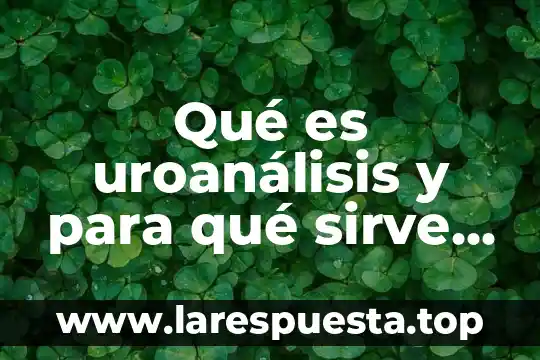 Que es una miuva y para que sirve 5 Qué es uroanálisis y para qué sirve veterinaria