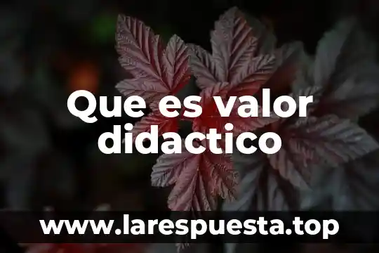 Que es el valor de rescate de un proyecto 4 Que es valor didactico