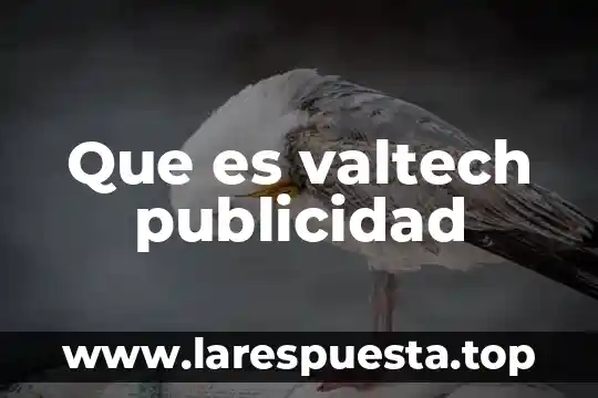 Que es valtech publicidad