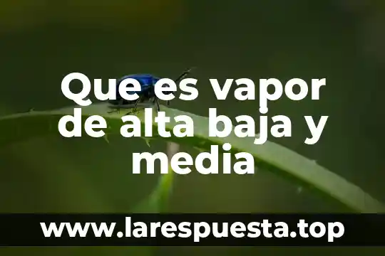 Que es vapor de alta baja y media