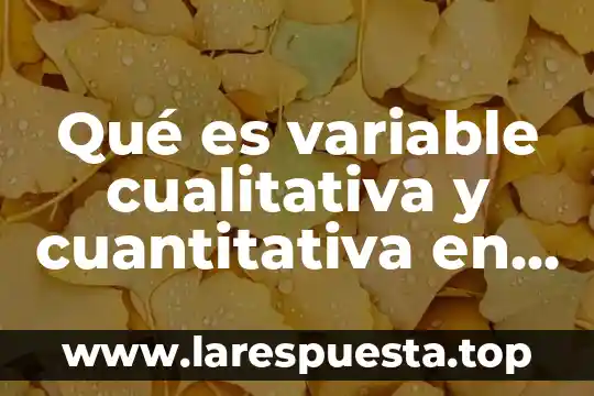 Qué es variable cualitativa y cuantitativa en estadística