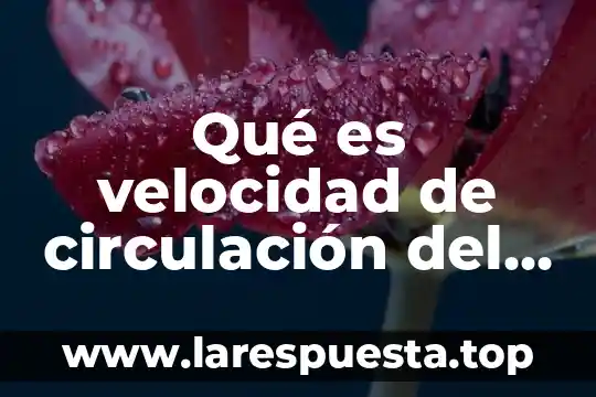 Qué es velocidad de circulación del dinero en economía ejemplos