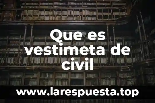 Que es vicio en derecho civil 8 Que es vestimeta de civil