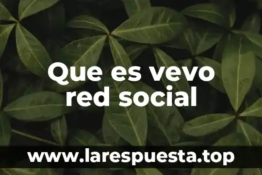 Que es un objeto social y un producto 8 Que es vevo red social