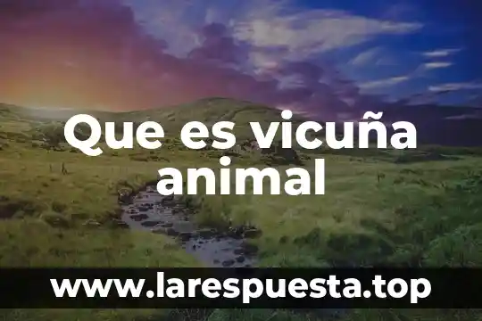 Que es vicuña animal