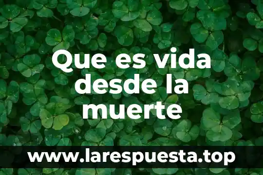 Diapositivas sobre que es la muerte y tipos de muerte 8 Que es vida desde la muerte