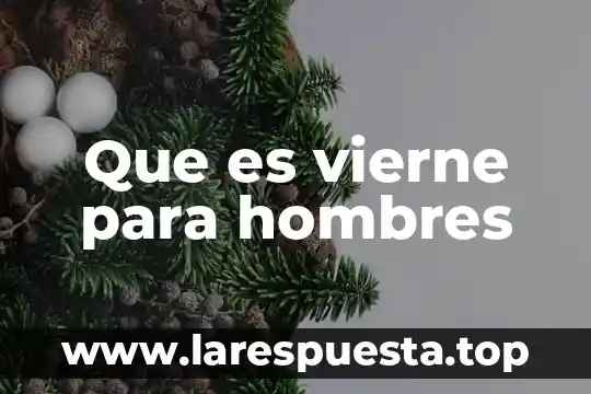 Que es la grasa abdominal hombres 4 Que es vierne para hombres