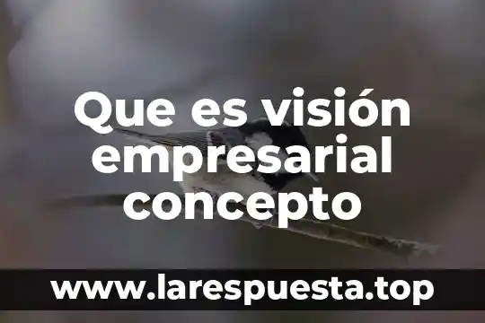 Que es visión empresarial concepto