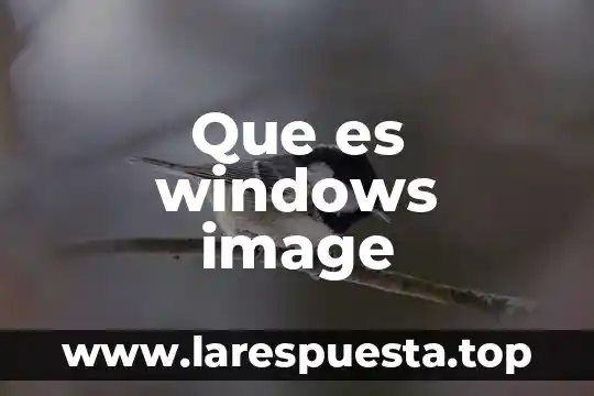 Que es el atragantamiento en niños 6 Que es windows image