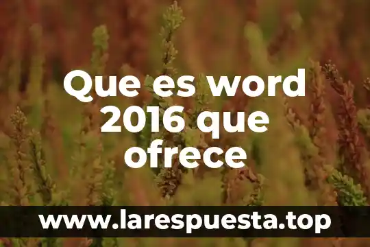Que es una cita y como se crear en word 4 Que es word 2016 que ofrece