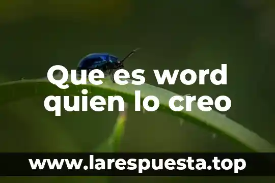 Que es word quien lo creo