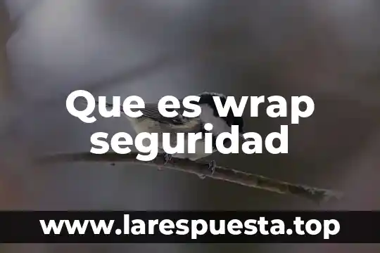 Que es wrap seguridad