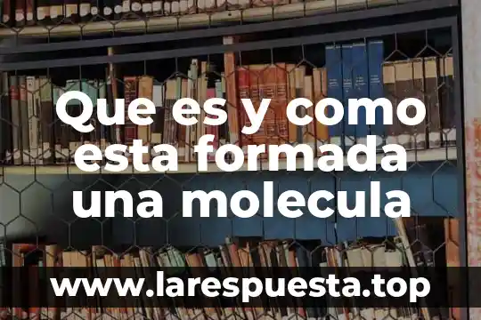 Qué es la molécula y por qué está formada 6 Que es y como esta formada una molecula