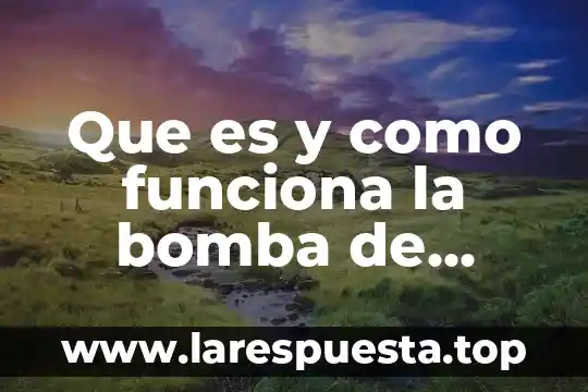Que es la bomba de sodio y potasio en biologia 8 Que es y como funciona la bomba de sodio