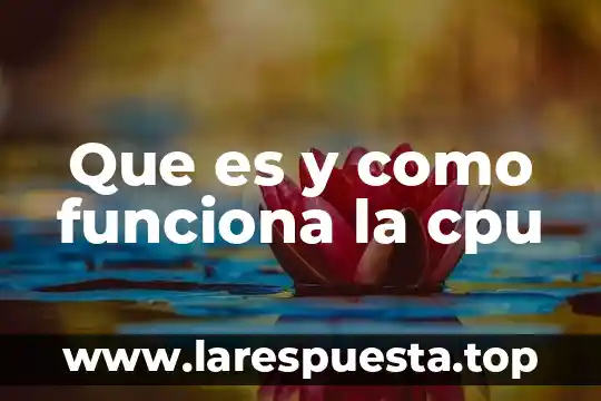 Qué es un proceso interno del CPU 5 Que es y como funciona la cpu