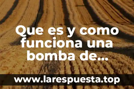 Que es la bomba de sodio y potasio en biologia 7 Que es y como funciona una bomba de sodio
