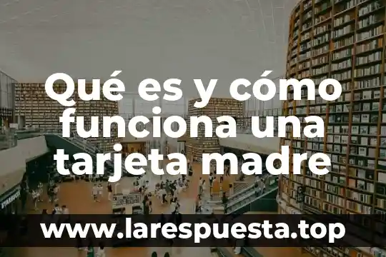 Que es mejor pastillas o gotas vale madre 4 Qué es y cómo funciona una tarjeta madre