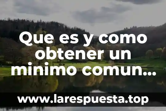 Qué es múltiplo del centímetro cuadrado 5 Que es y como obtener un minimo comun multiplo