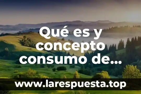 Qué es y concepto consumo de memoria RAM
